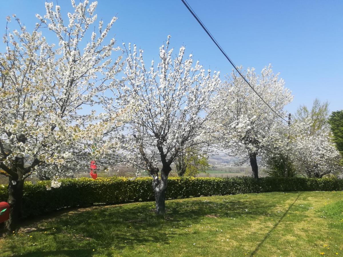 شقة Locazione Turistica Cascina Pela Castagnole delle Lanze المظهر الخارجي الصورة